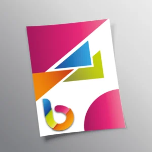 flyers bizziprint